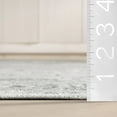 thumbnail image 3 of Bayberry Vintage Machine Washable Area Rug, 3' x 5', Ivy Light Grey, 3 of 9