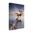 thumbnail image 4 of Moises Levy 'Water Tree X' Canvas Art, 4 of 4