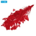 thumbnail image 3 of Uxcell 10-12 Inch Turkey Feathers, 1 Set Fluffy Bulk Natural Feathers for Crafts, Red, 3 of 5