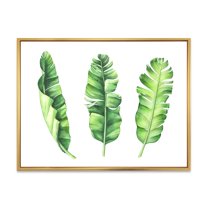 Designart 'Tropical Banana Leaves Set On White' Farmhouse Framed Canvas Wall Art Print