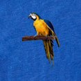 thumbnail image 2 of CafePress - FIN Blue Gold Macaw - Cute Infant Baby Football Bodysuit, 2 of 3