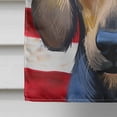 thumbnail image 4 of Kerry Beagle American Flag Flag Canvas House Size, 4 of 4