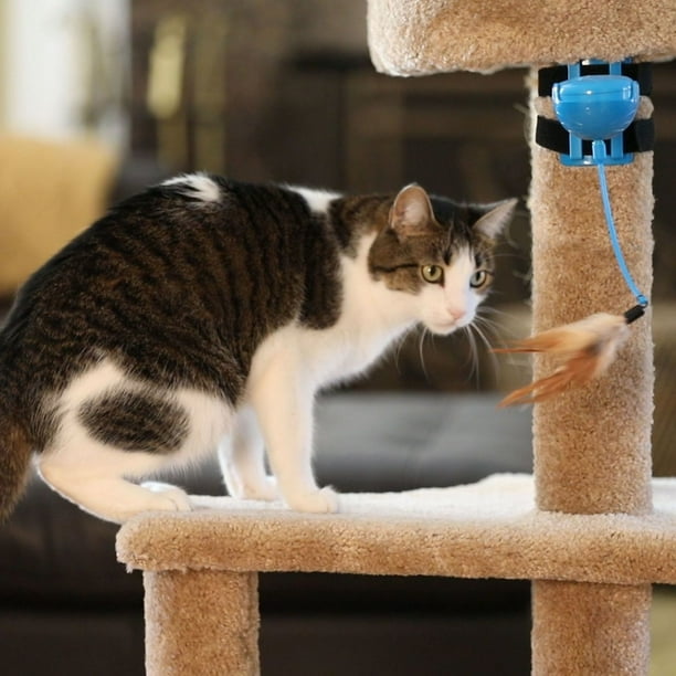 ourpets whirling wiggler electronic interactive cat toy