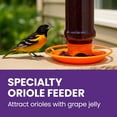 thumbnail image 2 of Perky-Pet Oriole Jelly Wild Bird Feeder - 32 oz Capacity, 2 of 10