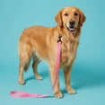 thumbnail image 3 of Vibrant Life Standard Dog Leash, 4 ft, Pink, Polyester, M, 3 of 10