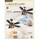 thumbnail image 4 of Ventilador de Techo Fanbulous 42" Bronce Aceitado con Luz y Control Remoto de 6 Velocidades, 4 of 7