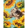 thumbnail image 1 of Taladro Girasol Yak 5D DIY Diamond Painting Kits Full Square Wall Decor (F1020) FLhrweasw Nuevo, 1 of 9