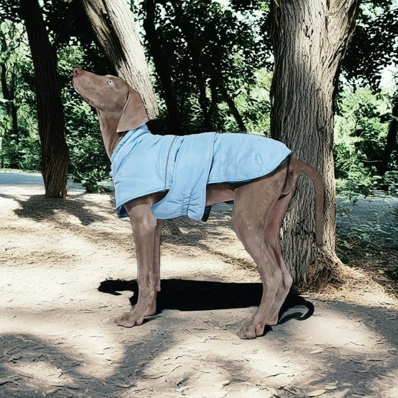 Demi Bonn Reversible Water Repellent Dog Jacket Pets Apparel Winter Warm Outdoor Sport Dog Coats for Winter Cold Weather Puppy Comfort Vest, Blue M