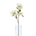 thumbnail image 4 of Hill Interiors Protea Nitida Stem Artificial Flower Spray, 4 of 4