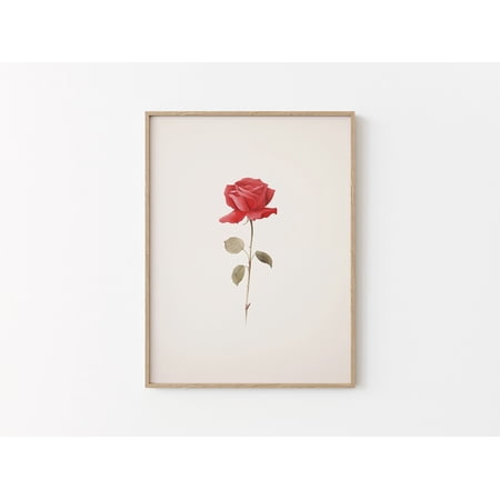 Vintage Rose Valentines Botanical Wall Art, Unframed Paper Print Size 8x12