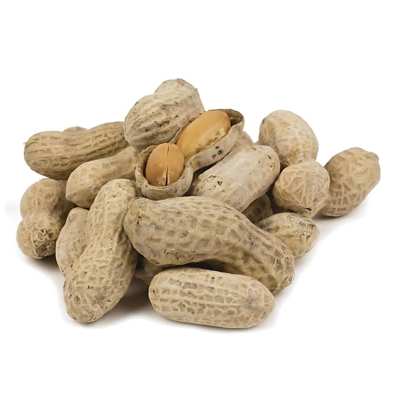 Organic In-Shell Peanuts - Jumbo Nutty Delight | Roasted and Salted Nuts - 2 Pounds | Wholesome Snack (2 LBS)