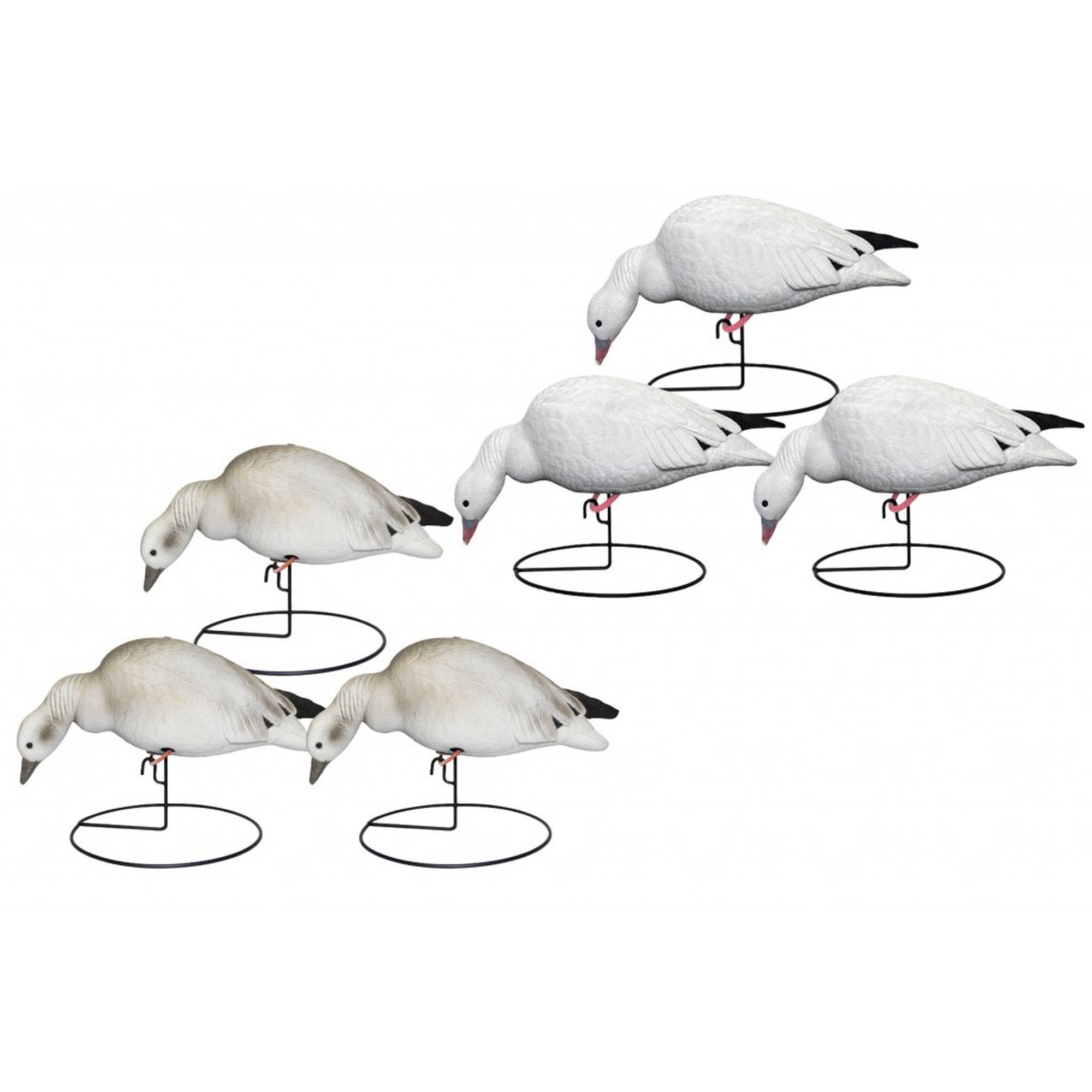Hard Core Brands Pro Series Full Body Ross Geese Decoys, 6 Pack