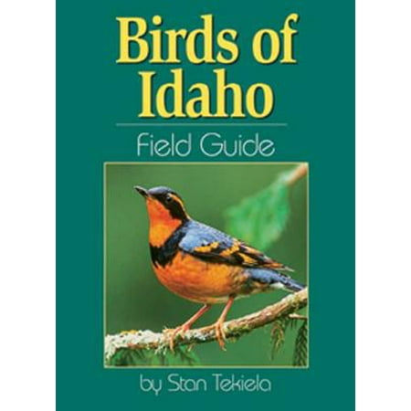 Birds of Idaho Field Guide (Best Camping In Idaho)
