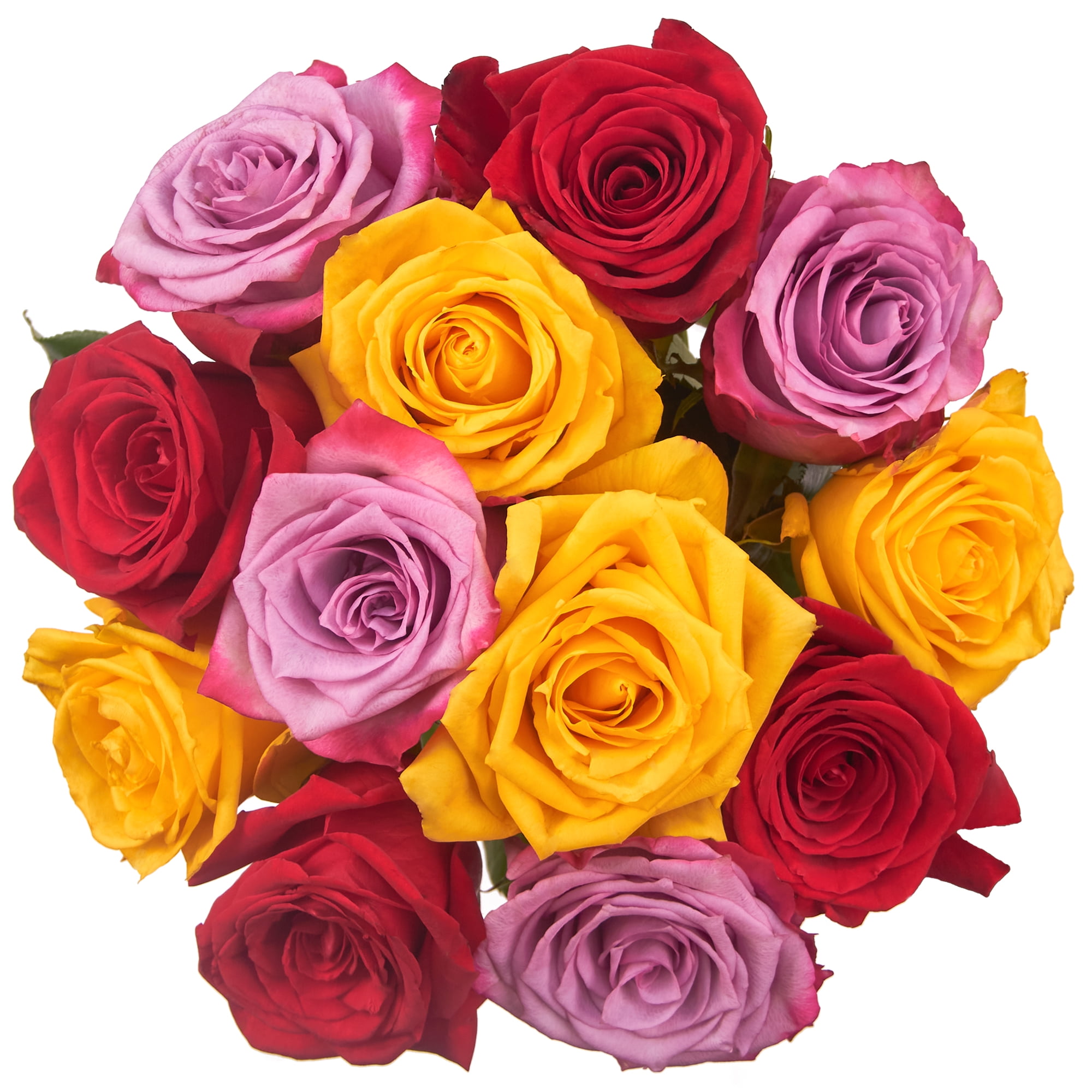 Dozen Rainbow Roses, Colors May Vary