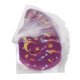 thumbnail image 5 of Tira Bucal, Tira Bucal Para Dormir Fácil De Pelar 30 Piezas Para La Noche, 5 of 8
