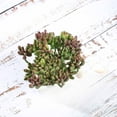 thumbnail image 3 of BalsaCircle 3 Green 7" Artificial Faux Realistic Jelly Bean Succulent Plants Off White Pots, 3 of 6