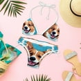 thumbnail image 6 of Corgi Dog Detachable Sponge Adjustable Strap Bikini Set Two-Pack, Ideal for Beach and Pool Parties, 6 of 6
