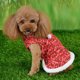 thumbnail image 3 of Chaqueta navideña roja para cachorros, falda festiva de invierno, atuendo para perros pequeños, 3 of 8
