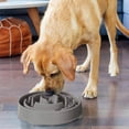 thumbnail image 3 of Comedero Antivoracidad Outward Hound Turquesa Grande para Perros, 3 of 7