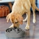 thumbnail image 3 of Comedero Antivoracidad Outward Hound Turquesa Grande para Perros, 3 of 7
