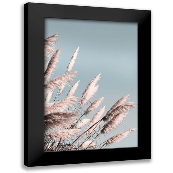 Bergham, Brent 11x14 Black Modern Framed Museum Art Print Titled - Pretty Pampas II