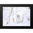 thumbnail image 2 of PhotoINC Studio 14x11 Black Modern Framed Museum Art Print Titled - Snow lynx, 2 of 5
