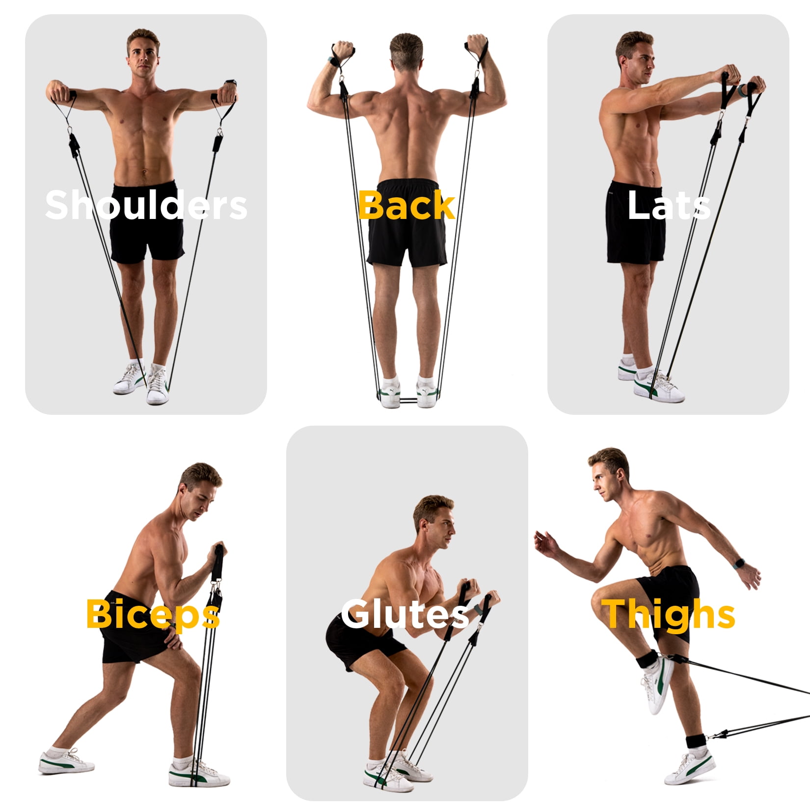 AXiOFiT Resistance Bands for Working Out, Exercise Bands for Home Gym