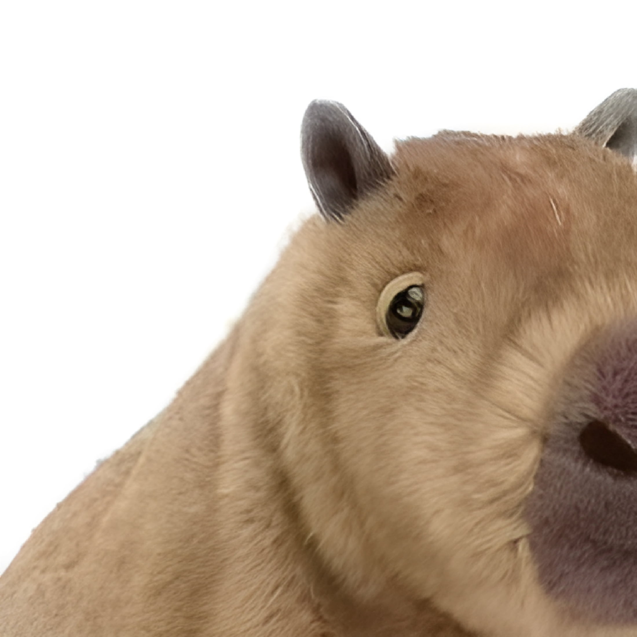 CYFW Realistic Capybara Stuffed Animal – 10.6" Cute Simulation Plush Toy, Soft Crawling Capybara Plushie Pillow for Kids, Girls & Adults, Adorable Model Doll Gift