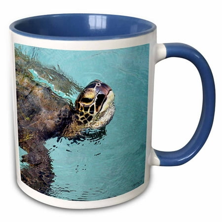 Rose Skilpadde Pasific Green Turtle Hawaiian Sea Rose Skilpadde Pasific Green Turtle Hawaiian Sea Name Is Honu
