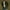 Army Green, variant on ZZwxWA Mens Vintage Jackets Button Down Casual Long Sleeve Work Shackets Jacket with Pockets Cozy Outdoor Jackets for Men up to 65% Off