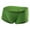 Green, variant on Sngxgn Men's Briefs, Soft and Breathable Underwear with ComfortFlex Waistband(Green,XL)