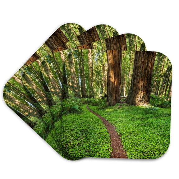 3drose, Ferns and Sorrel in Jedediah Smith Redwoods State Park, California 2, Set of 4 Coasters - Soft
