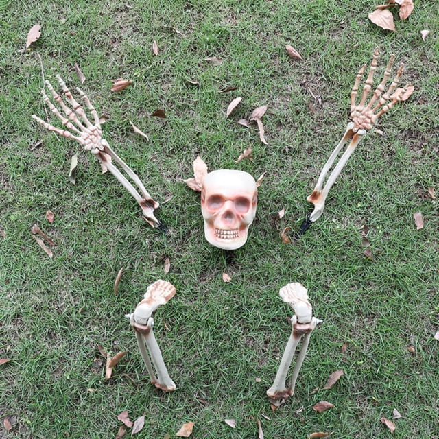 Skeleton Set Esqueleto De Cuerpo Completo Para Decoración De Halloween sonducket HA044461-02