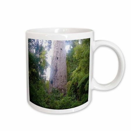 

3dRose The Oldest Kauri Tree in New Zealand Tane Mahut2000 Years Ago Approximately During Life of Christ Ceramic Mug 15-ounce
