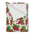 thumbnail image 2 of Spring Soft Flannel Fleece Throw Blanket, Redcurrant Branches with Leaves Grape Harvest Agriculture Fruit Illustration, Cozy Plush for Indoor and Outdoor Use, 50" x 70", Fern Green Ruby, by Ambesonne, 2 of 5
