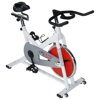 Stamina CPS 9190 Indoor Cycle