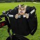 thumbnail image 3 of Cesta para Bicicleta Porta Perros Plegable Extraíble, con Cesta para Manillar de Bicicleta Ajustable Liberación Rápida Fácil de Instalar 35 CM * 27 CM * 26 CM, 3 of 5