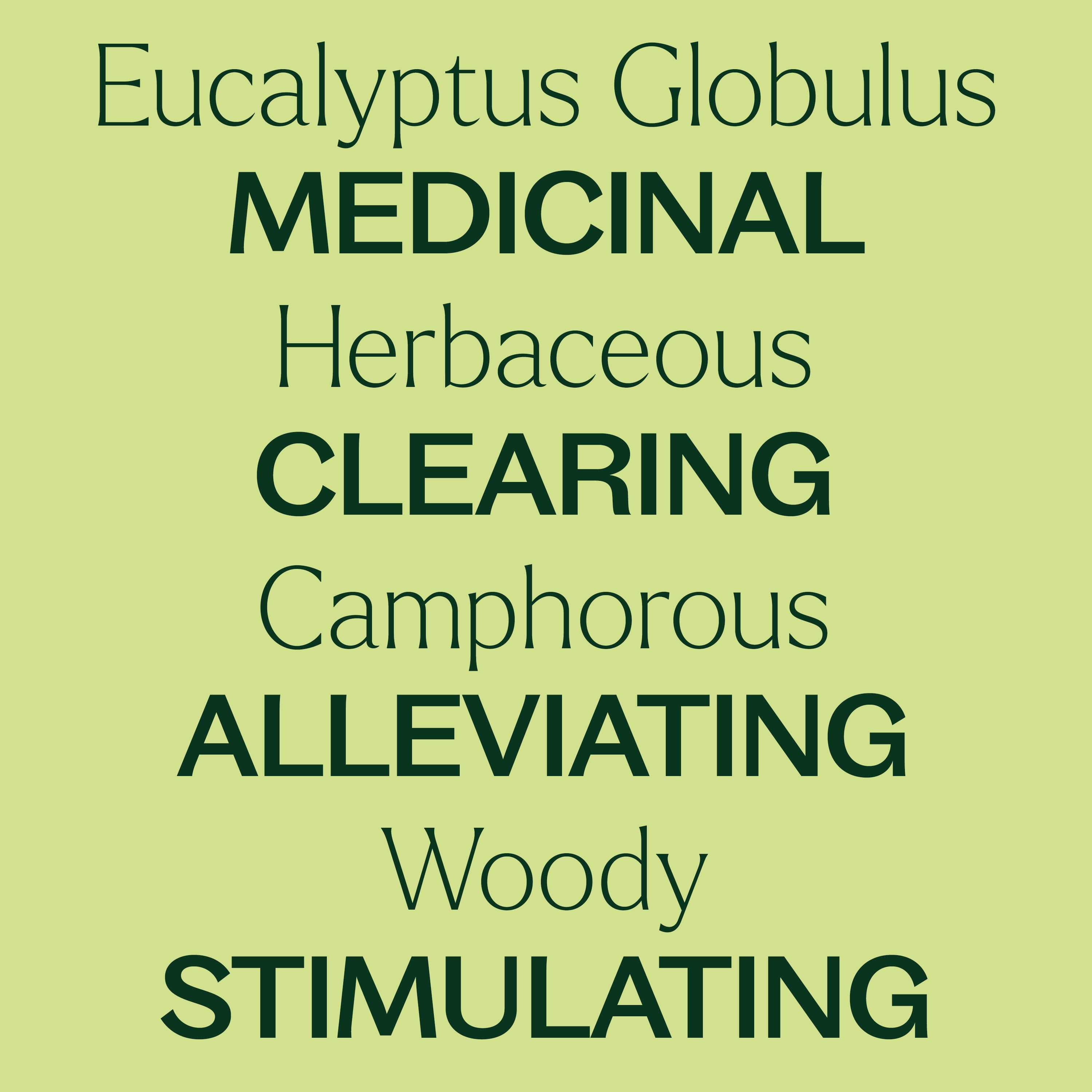 Plant Therapy Organic Eucalyptus Globulus Essential Oils 100% Pure, USDA Certified Organic, Undiluted, Natural Aromatherapy, Therapeutic Grade 100 mL (3.3 oz)