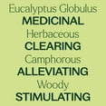 thumbnail image 4 of Plant Therapy Organic Eucalyptus Globulus Essential Oil 100% Pure, USDA Certified Organic, Undiluted 10 mL (1/3 fl oz), 4 of 8