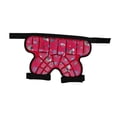 thumbnail image 2 of Pantalones Cortos Protectores de Cadera Acolchados para Niños, Pantalones Cortos Acolchados, Cojín EVA 3D, Equipo Protector de Esquí Ajustable para Pa Rojo, 2 of 8