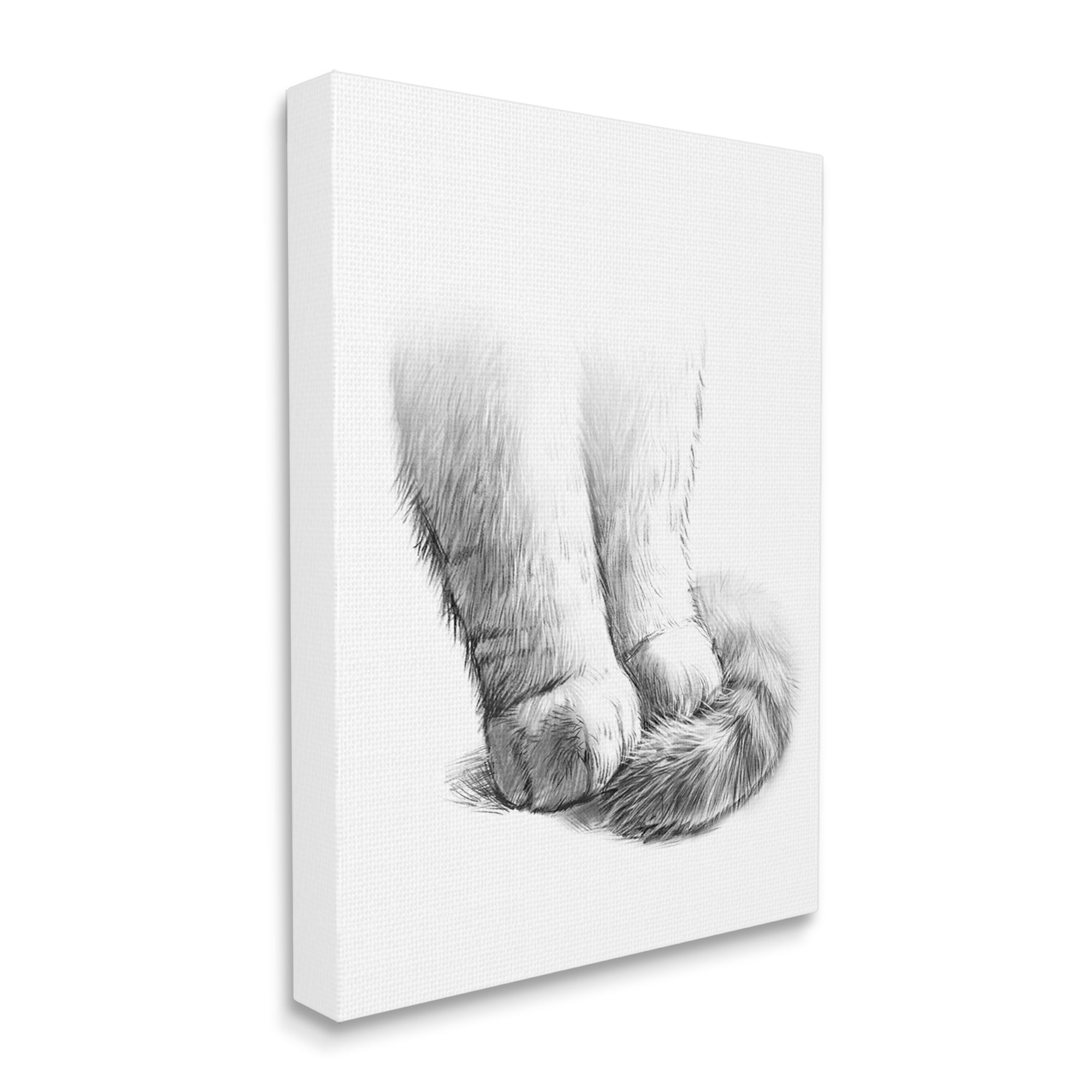 Stupell Industries Fluffy Cat Paws Tail Curled Monochrome Drawing Canvas Wall Art, 36 x 48, Design by Ziwei Li
