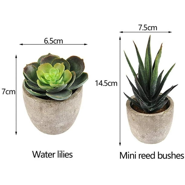 6 Pièces Plantes Succulentes Artificielles Dans Des Plantes En Pot