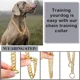 thumbnail image 3 of Collar De Perro Con Cadena Dorada, Cadena Para Perros, Colla, 3 of 7