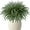 Green 2, variant on JEWLALO 18" Norfolk Pine Branches for Vase Filler - 8 Pack Christmas Greenery Stems, Real Touch Artificial Plants for Table Centerpieces Christmas Home Decorations
