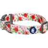 Blueberry Pet 7 Patterns Spring Scent Inspired Floral Rose Print Turquoise Adjustable Dog Collar, Medium, Neck 14.5"-20"