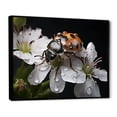 thumbnail image 2 of Designart "Blooming Ladybug: Nature'S Enigma" Ladybug Floater Framed Wall Art Prints, 2 of 5