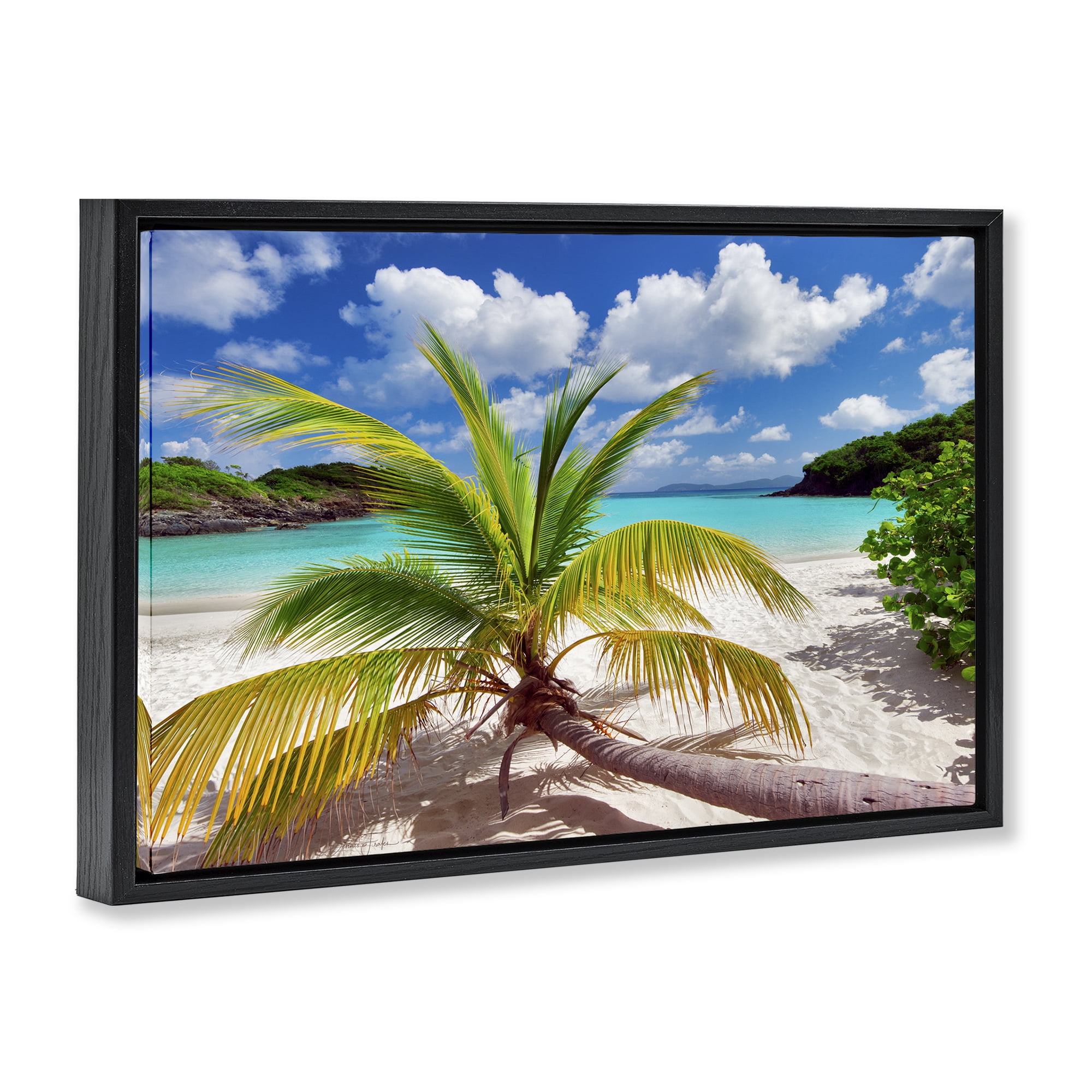 Stupell Industries Palm Tree Across Beach Coastal Photography Black Floater Framed Canvas Art Print Wall Art, 31 x 21