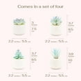 thumbnail image 2 of Mini Blue Artificial Succulent in Pots (White Ceramic, 4 Pot Set) Fake Plants for Indoors, Office Decor Blue, Room Decorations Aesthetics & Office Home Decor Gifts-Faux Plant, 2 of 5