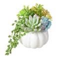 thumbnail image 2 of Thanksgiving Decorations, Artificial White Pumpkin and Plastic Succulents Autumn Fall Tabletop Decor Centerpiece Rustic Farmhouse Decoration for Office Bedroom Kitchen Party Harvest Day, 2 of 9