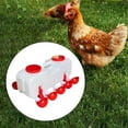 thumbnail image 6 of Poultry Drinking Bowl Feeder Chick Chicken Waterer Cups for Hen Pigeon Quail semi automatic L, 6 of 8